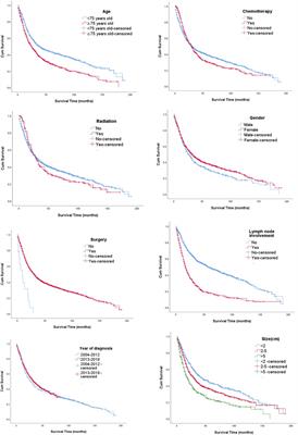Lymph node involvement is associated with overall survival for elderly patients with non-metastatic gallbladder adenocarcinoma